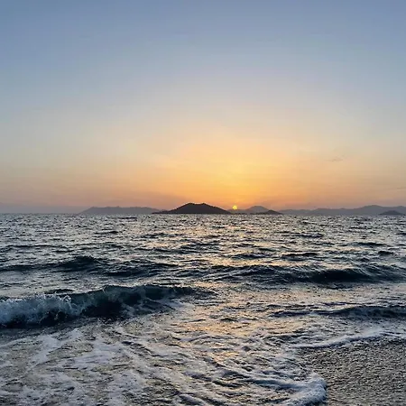 Mango Φετιγιέ