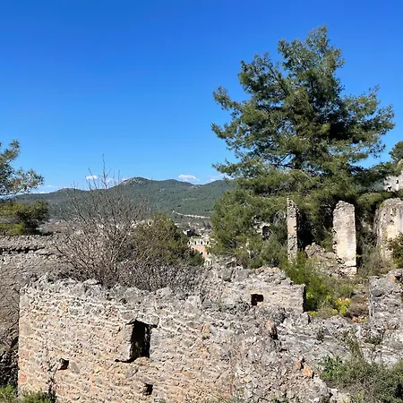 Mango Вилла Фетхие