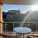 Mango *